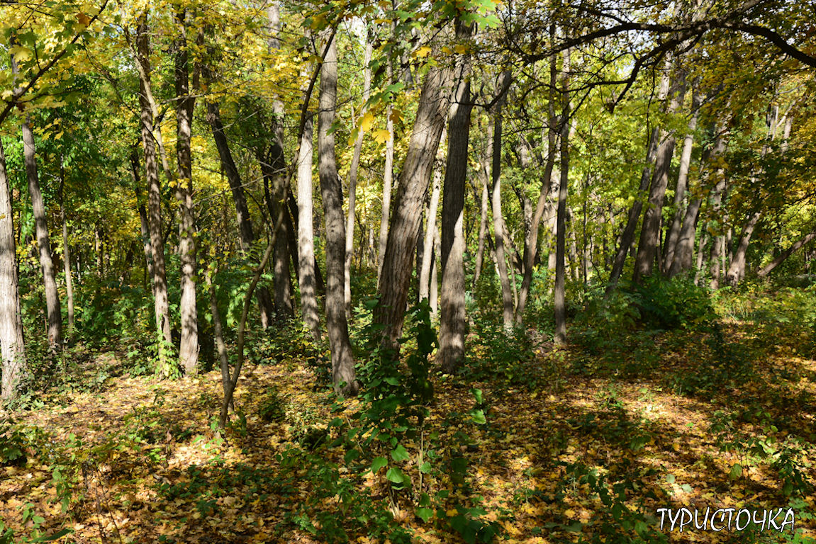 muhina-balka-2025-37