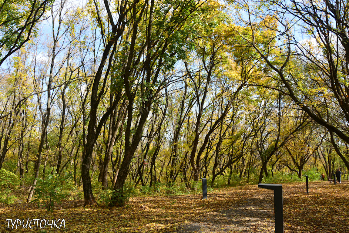 muhina-balka-2025-38