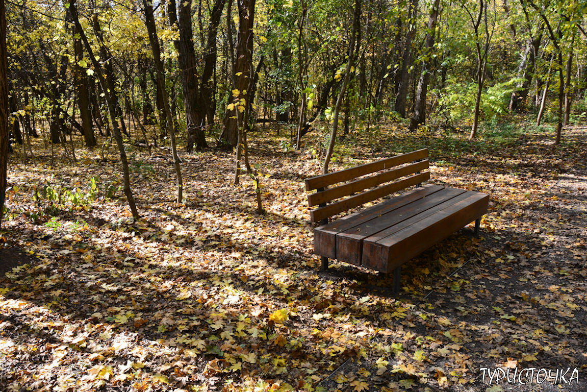 muhina-balka-2025-42