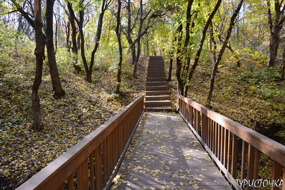 muhina-balka-2025-44