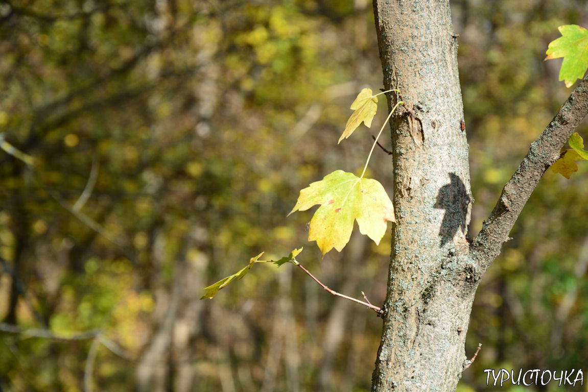 muhina-balka-2025-47