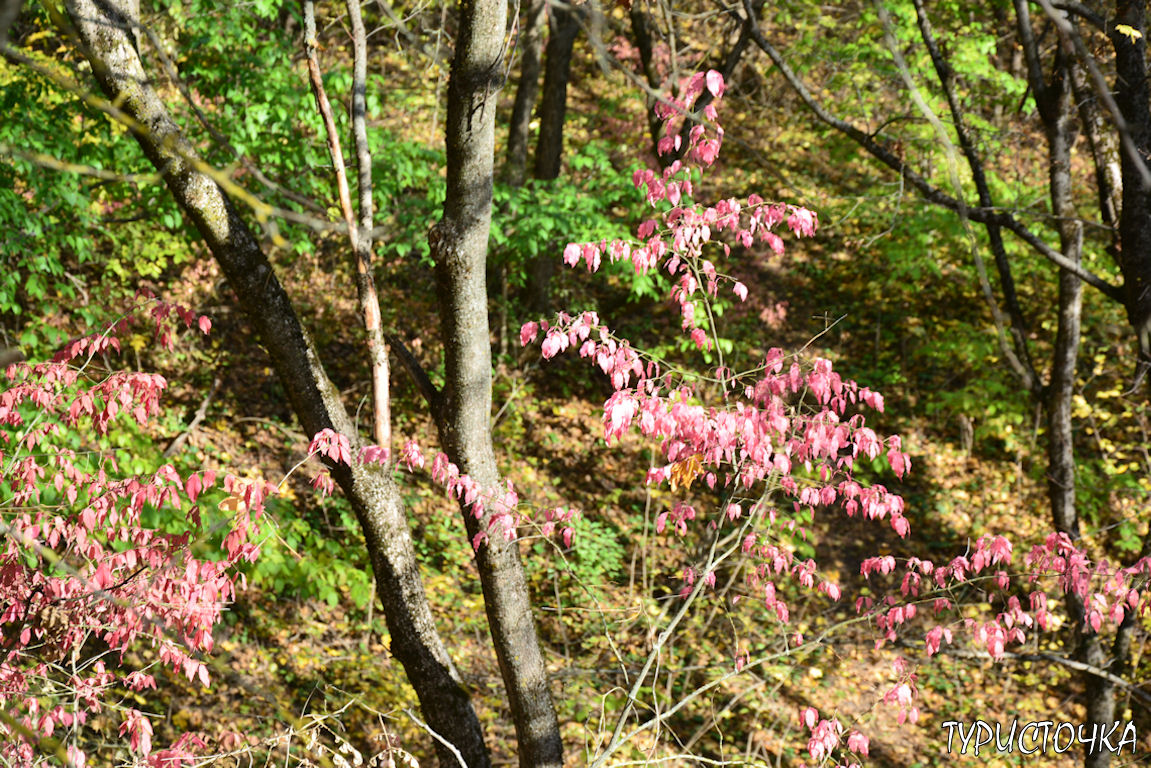 muhina-balka-2025-49