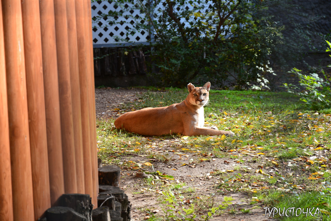 Зоопарк Ростов-на-Дону