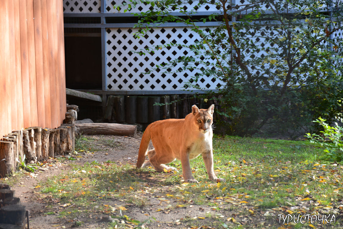 Зоопарк Ростов-на-Дону