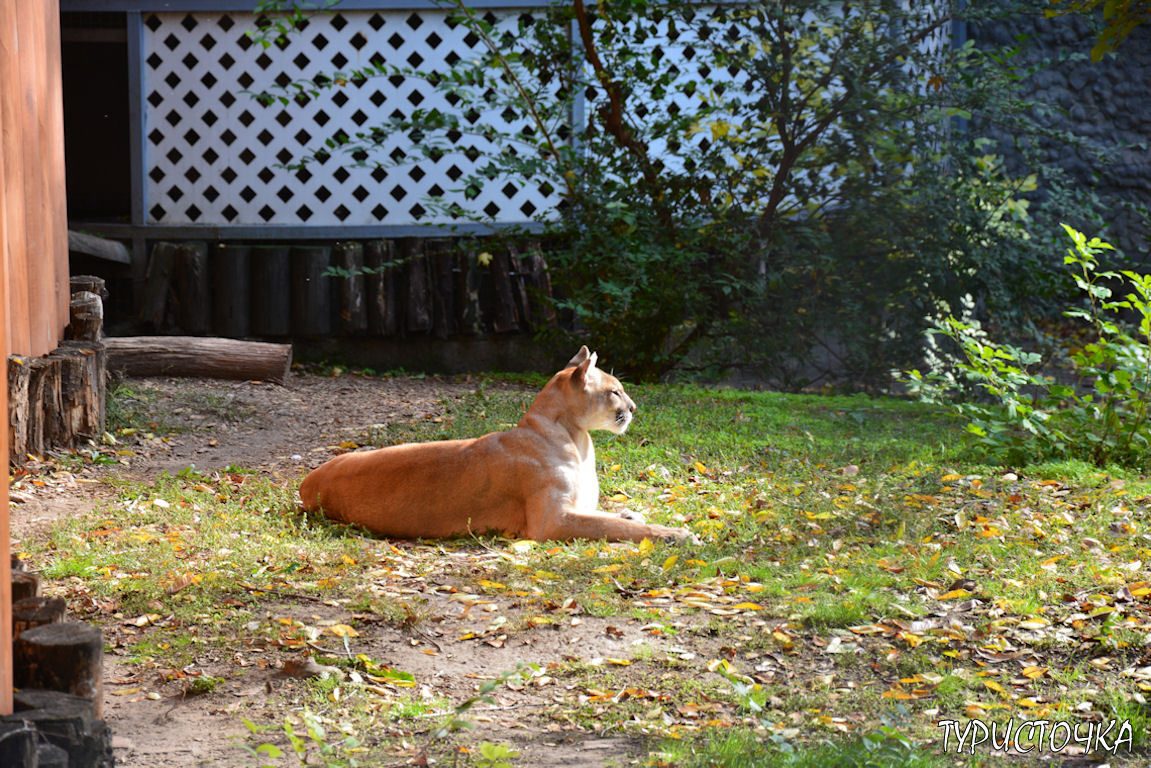 Зоопарк Ростов-на-Дону