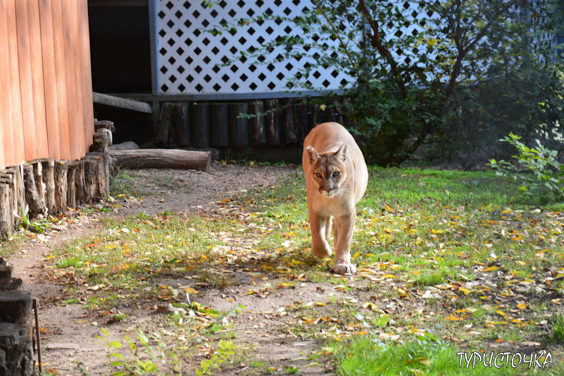 Зоопарк Ростов-на-Дону