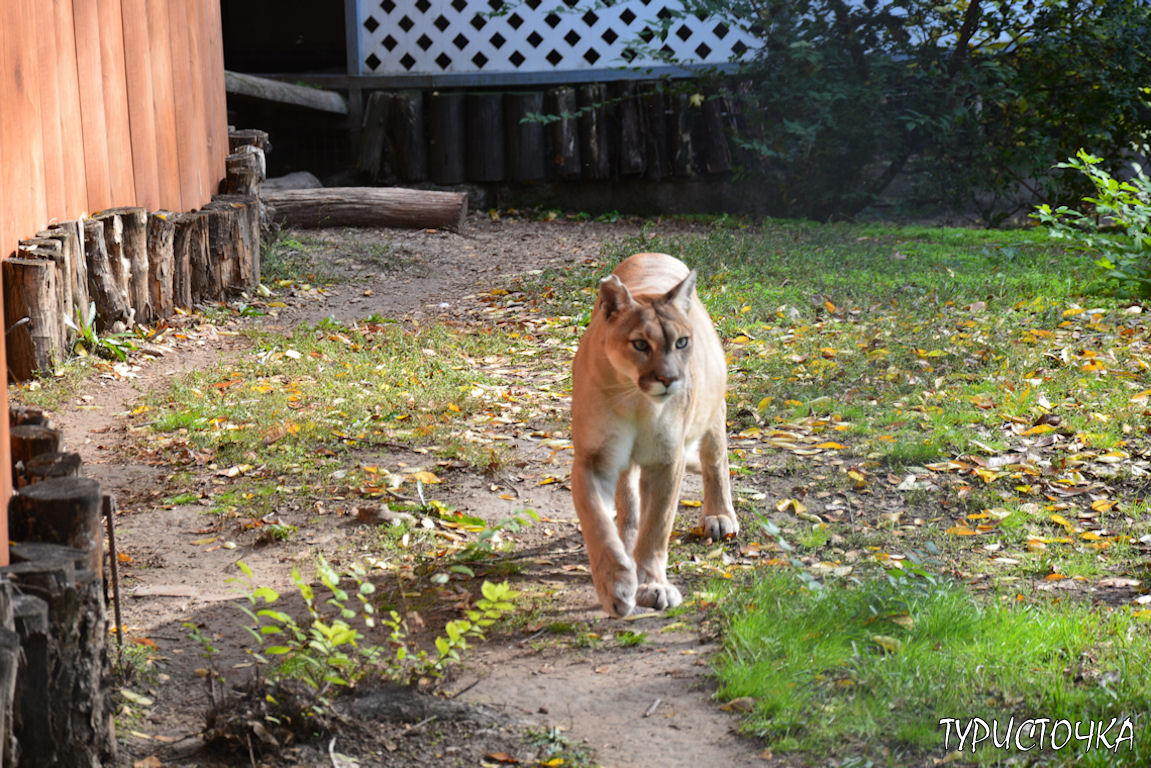 Зоопарк Ростов-на-Дону