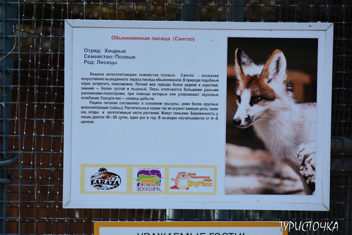 Зоопарк Ростов-на-Дону