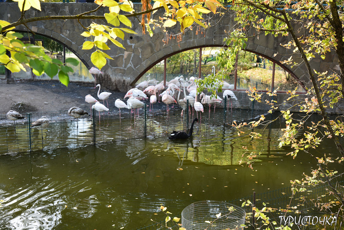 Зоопарк Ростов-на-Дону