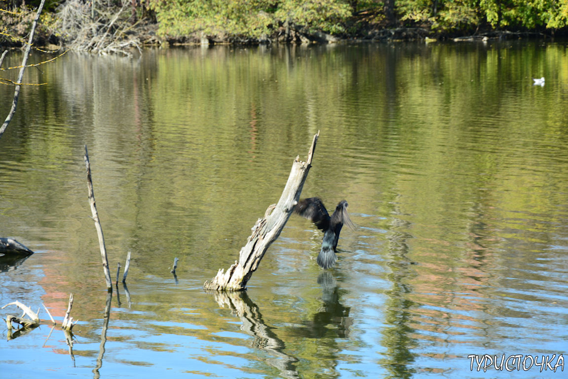 Ростовский зоопарк