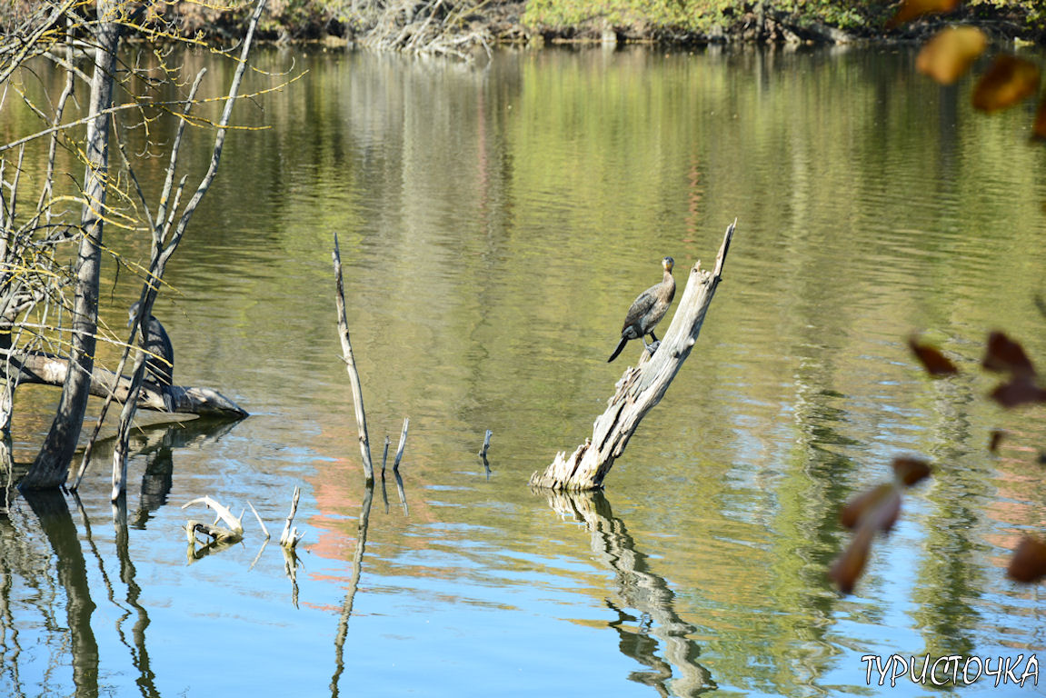 Ростовский зоопарк