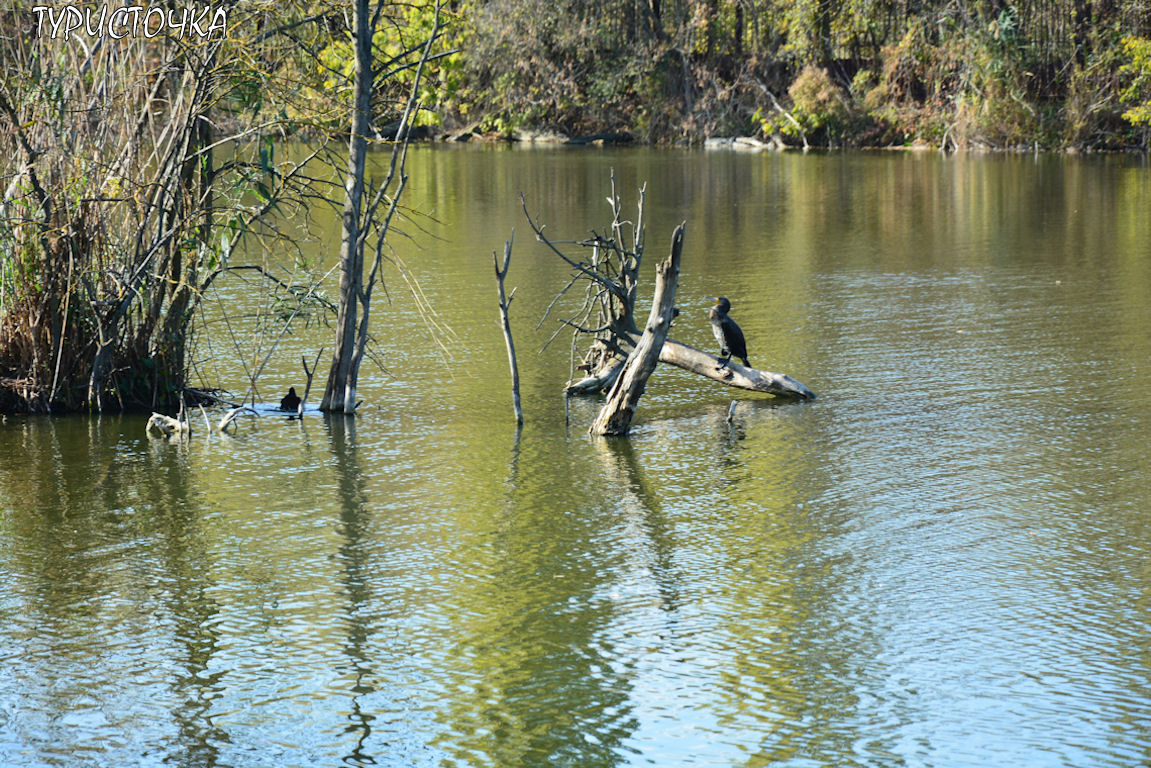 Ростовский зоопарк