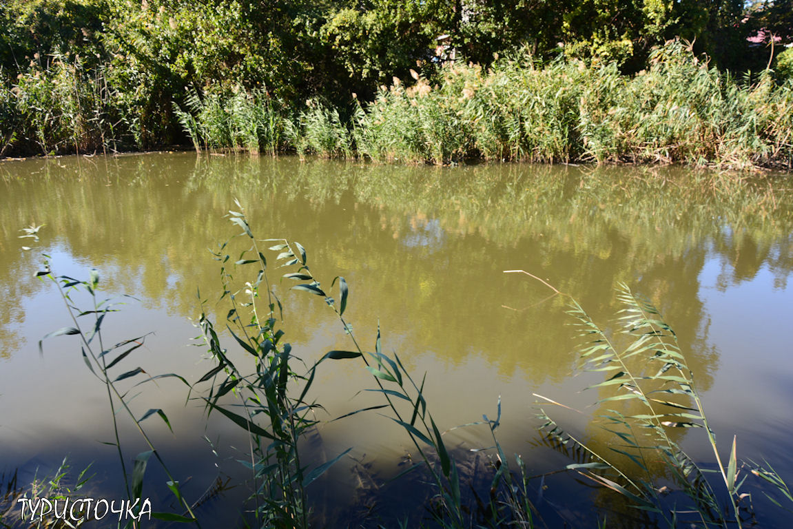 Ростовский зоопарк