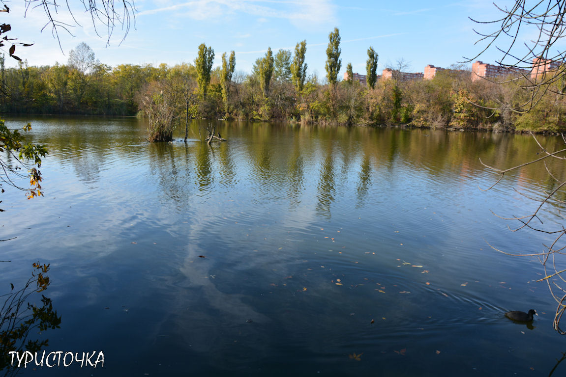 Ростовский зоопарк