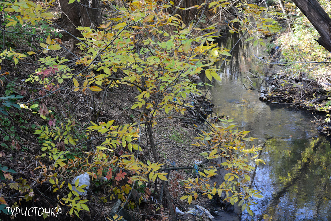 Ростовский зоопарк