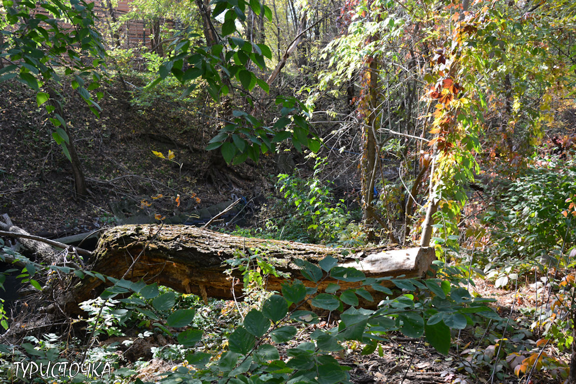 Ростовский зоопарк