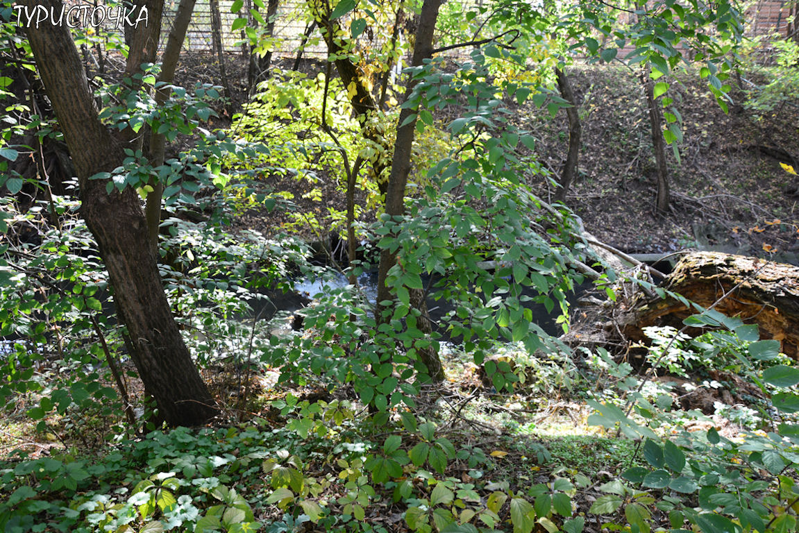 Ростовский зоопарк