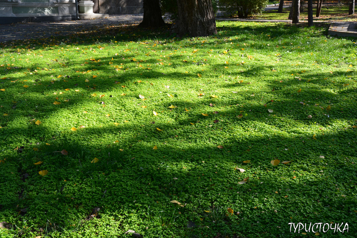 Ростовский зоопарк