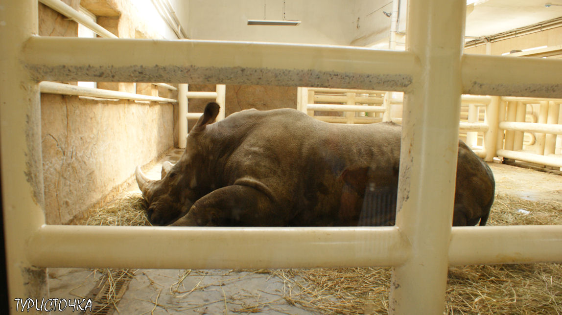 Ростовский зоопарк