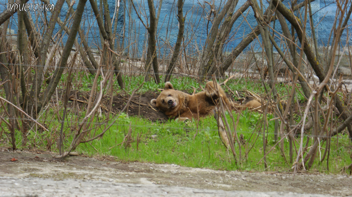 Ростовский зоопарк