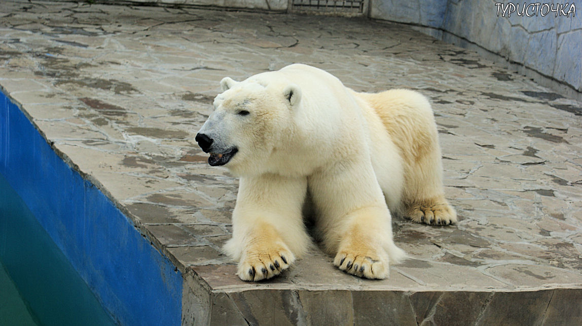 Ростовский зоопарк