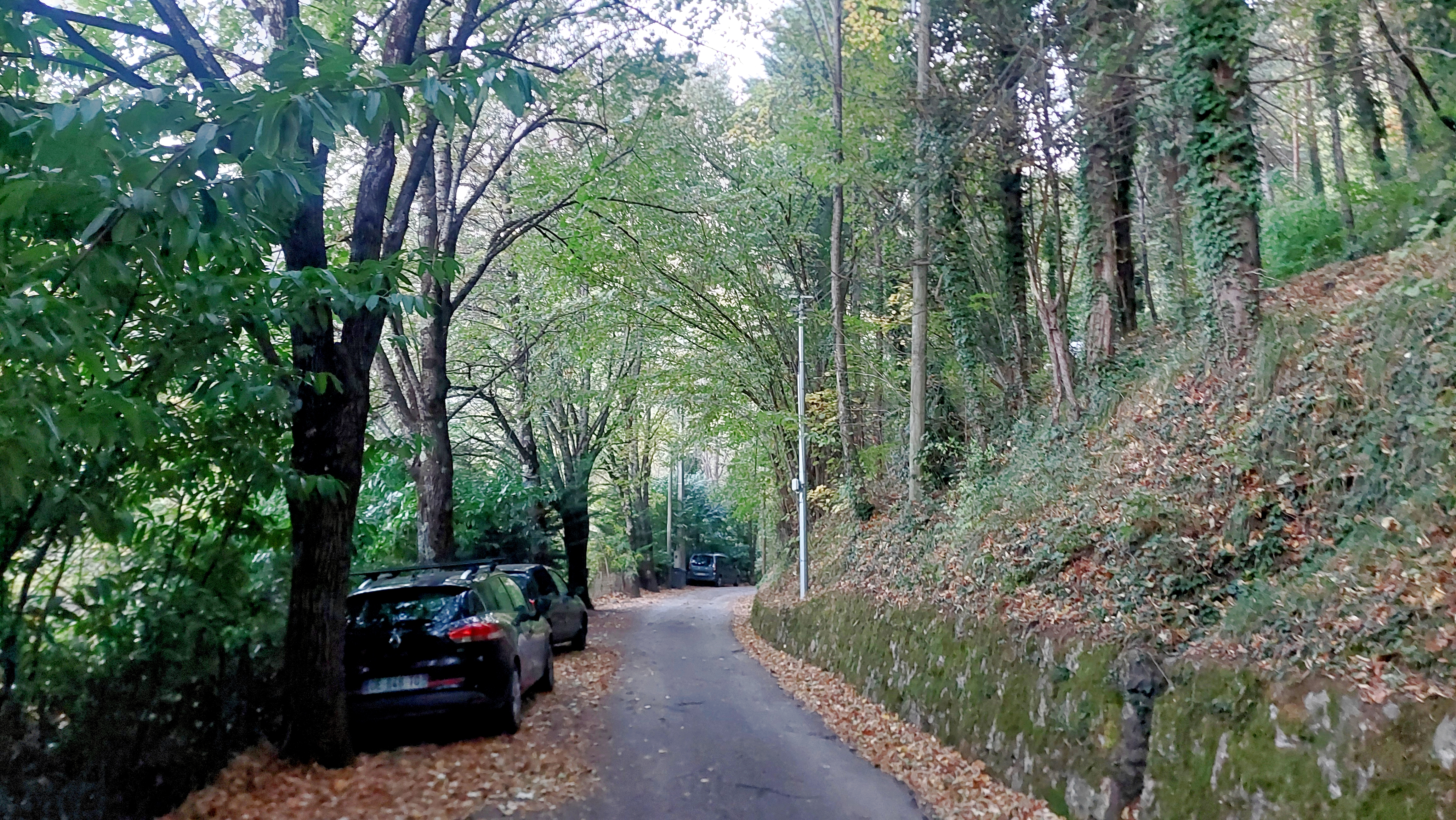 Каштановый сезон 