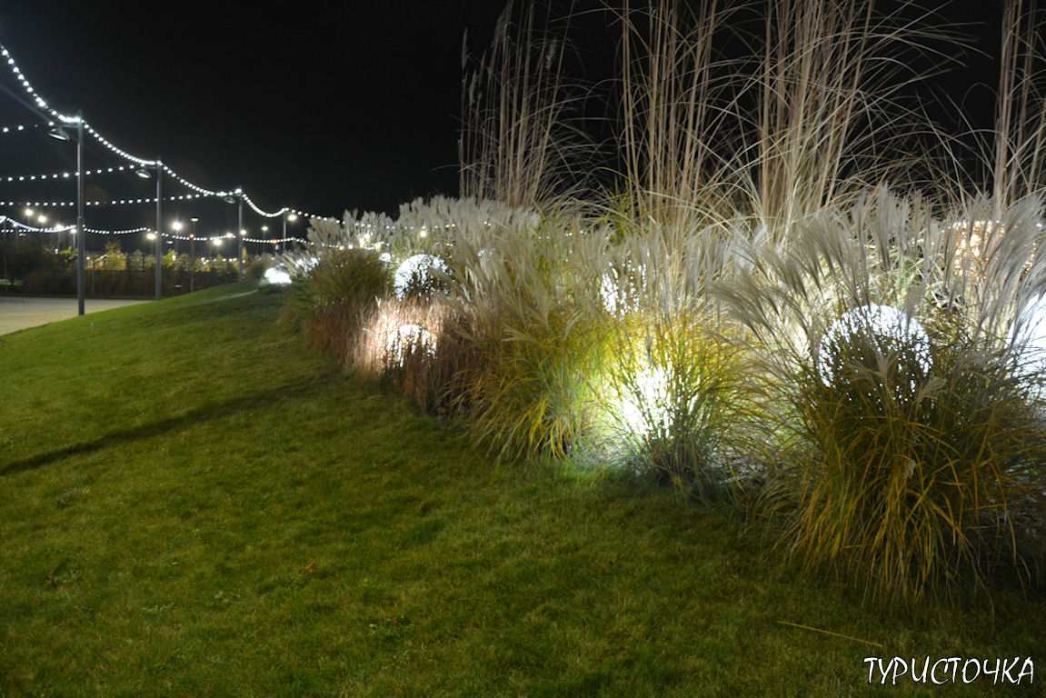 Парк Левобережье