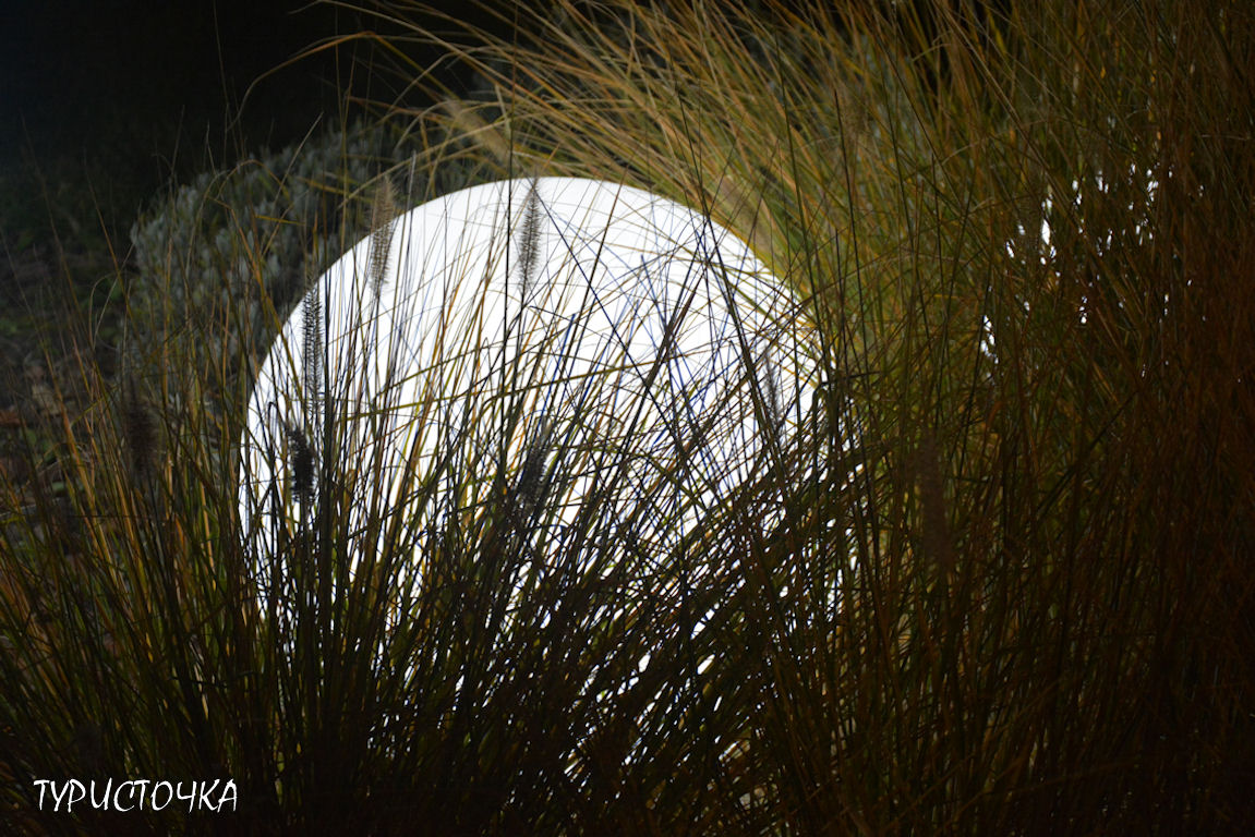 Парк Левобережье