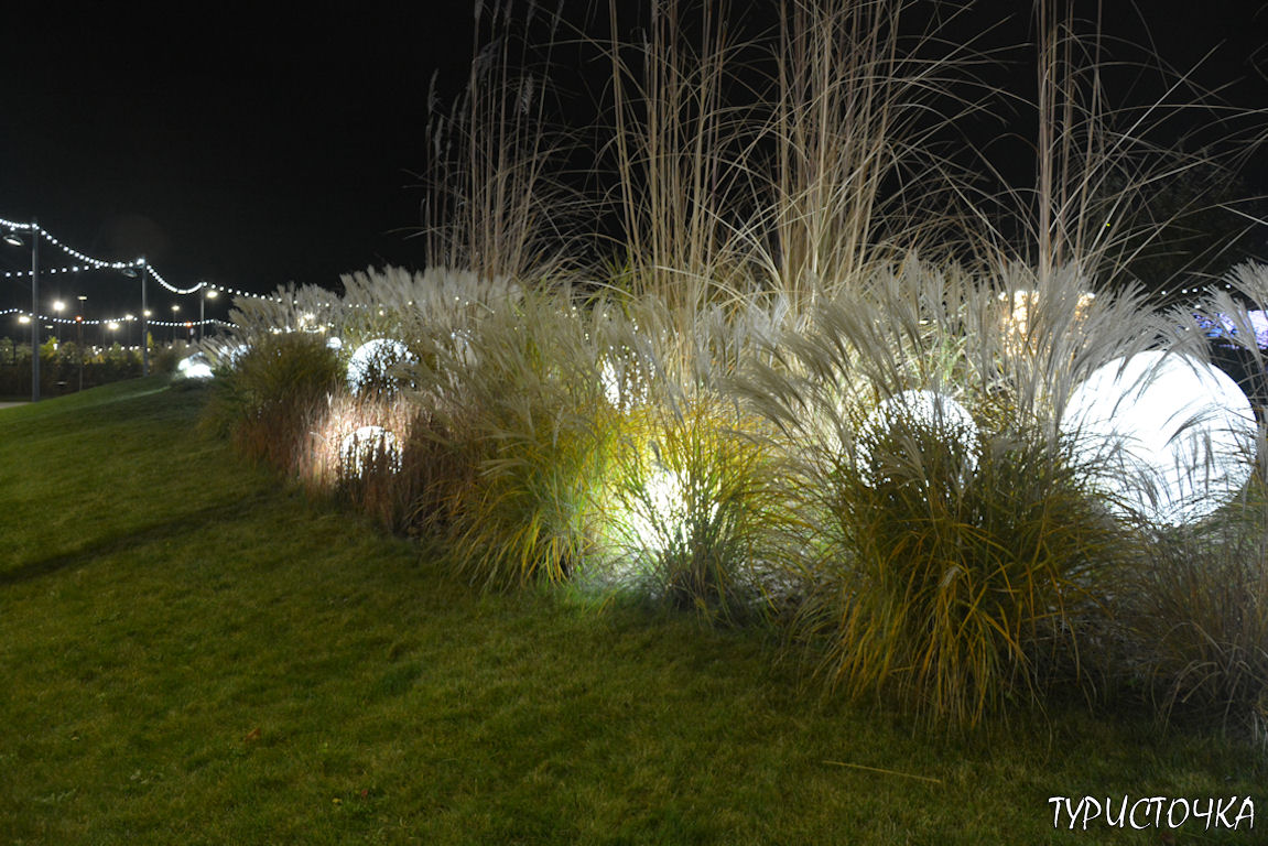 Парк Левобережье