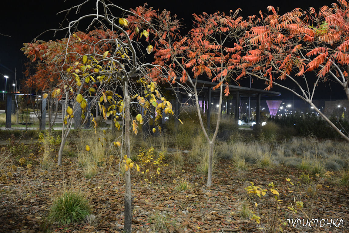 Парк Левобережье