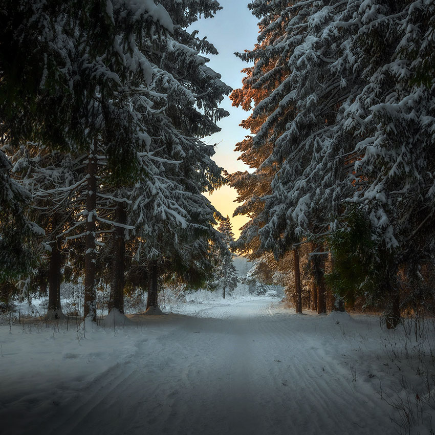 VFL.RU - ��� �����������