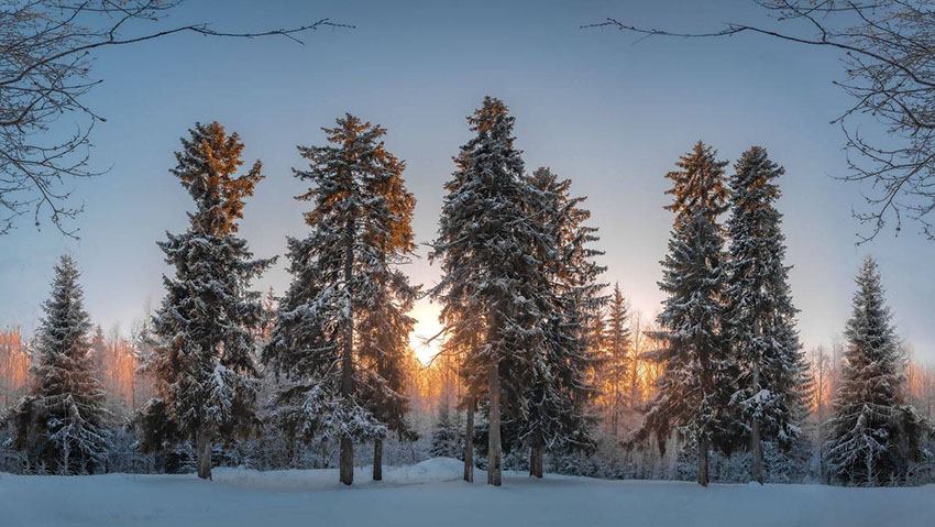 VFL.RU - ��� �����������