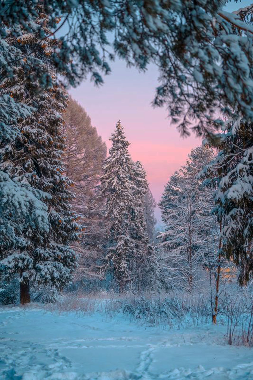 VFL.RU - ��� �����������