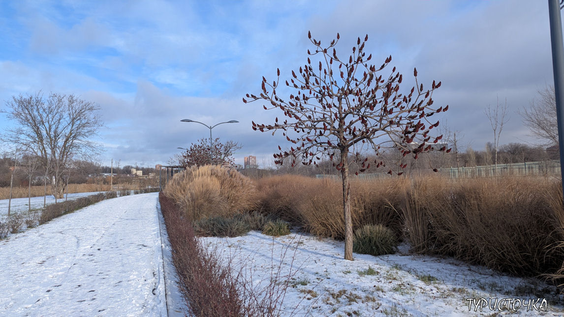 Парк Первая Миля зимой