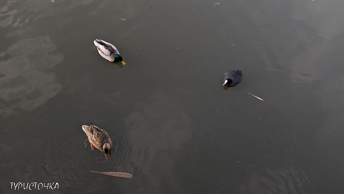 Парк Первая Миля зимой