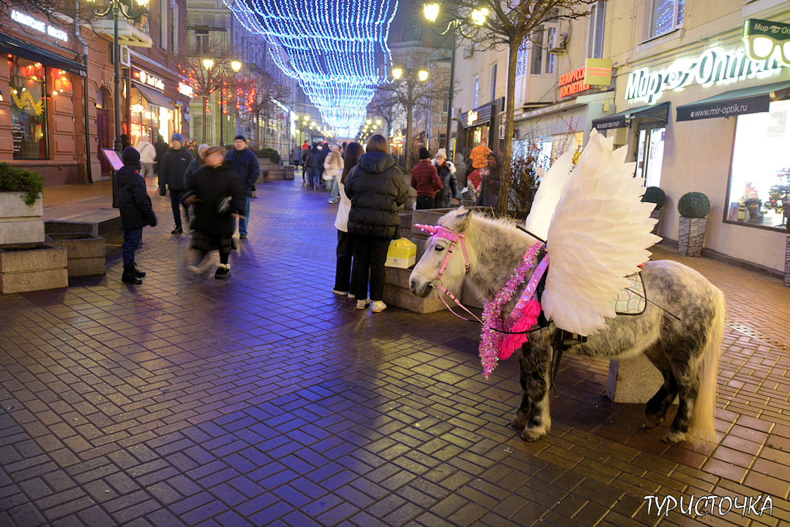 Новогодний Ростов-на-Дону