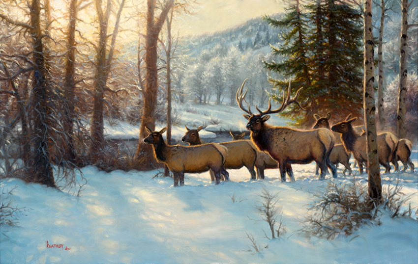 VFL.RU - ��� �����������