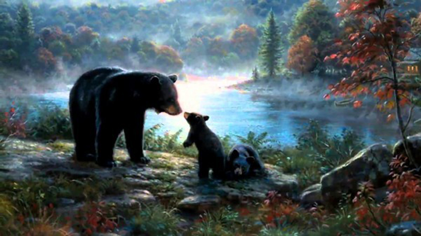 VFL.RU - ��� �����������
