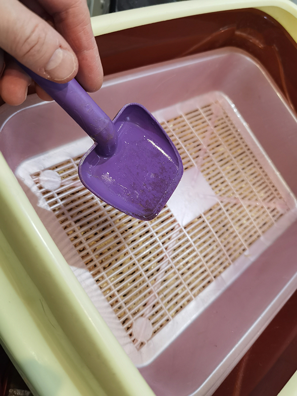 Мой день 12.02.2026 г