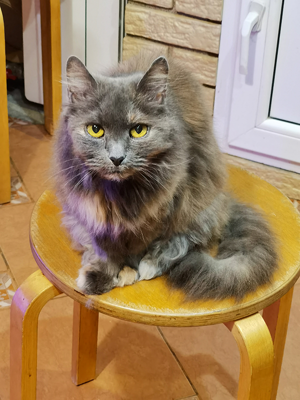 Мой день 12.02.2026 г преподаватель,Нижний Новгород,oneday,будни,46-55,Россия