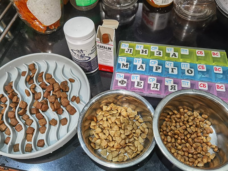 Мой день 12.02.2026 г преподаватель,Нижний Новгород,oneday,будни,46-55,Россия