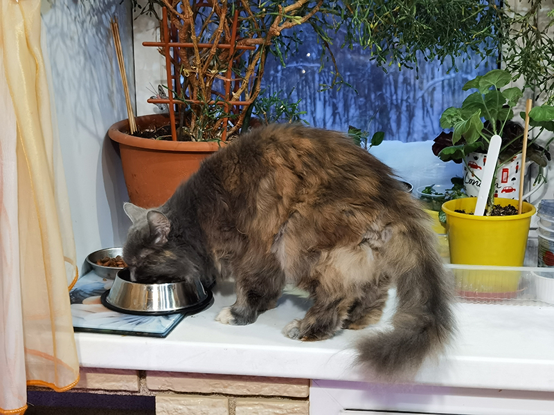 Мой день 12.02.2026 г преподаватель,Нижний Новгород,oneday,будни,46-55,Россия