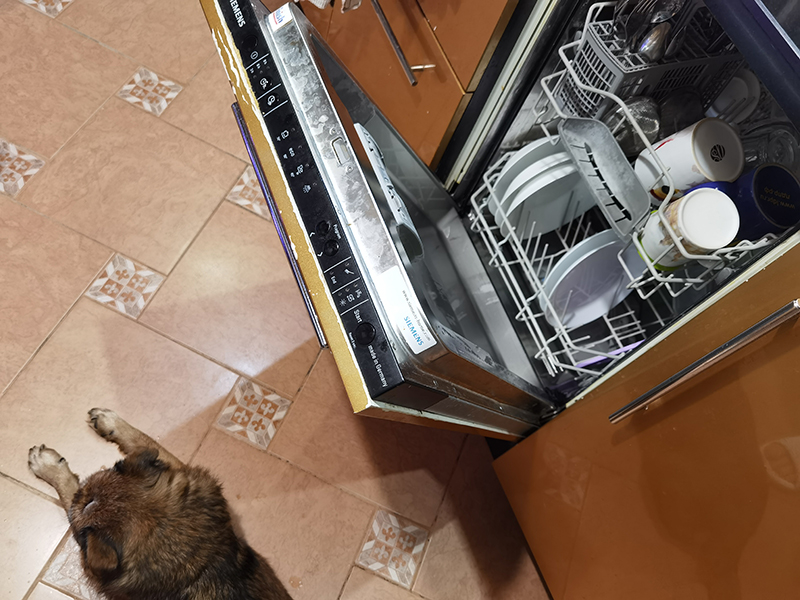 Мой день 12.02.2026 г преподаватель,Нижний Новгород,oneday,будни,46-55,Россия