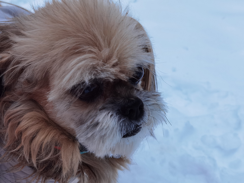 Мой день 12.02.2026 г преподаватель,Нижний Новгород,oneday,будни,46-55,Россия