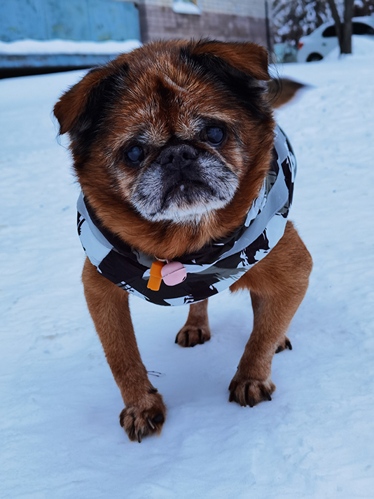 Мой день 12.02.2026 г преподаватель,Нижний Новгород,oneday,будни,46-55,Россия