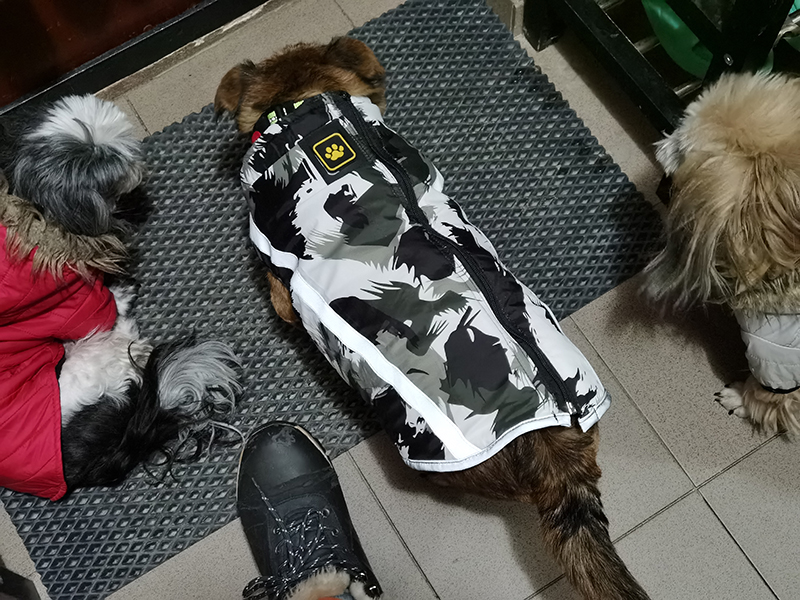 Мой день 12.02.2026 г преподаватель,Нижний Новгород,oneday,будни,46-55,Россия