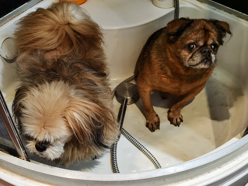 Мой день 12.02.2026 г преподаватель,Нижний Новгород,oneday,будни,46-55,Россия