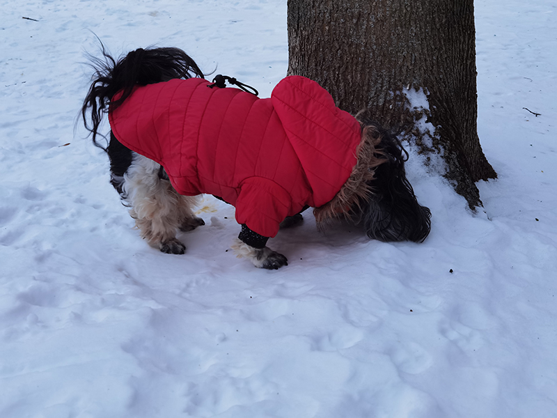 Мой день 12.02.2026 г преподаватель,Нижний Новгород,oneday,будни,46-55,Россия