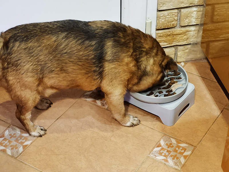 Мой день 12.02.2026 г преподаватель,Нижний Новгород,oneday,будни,46-55,Россия