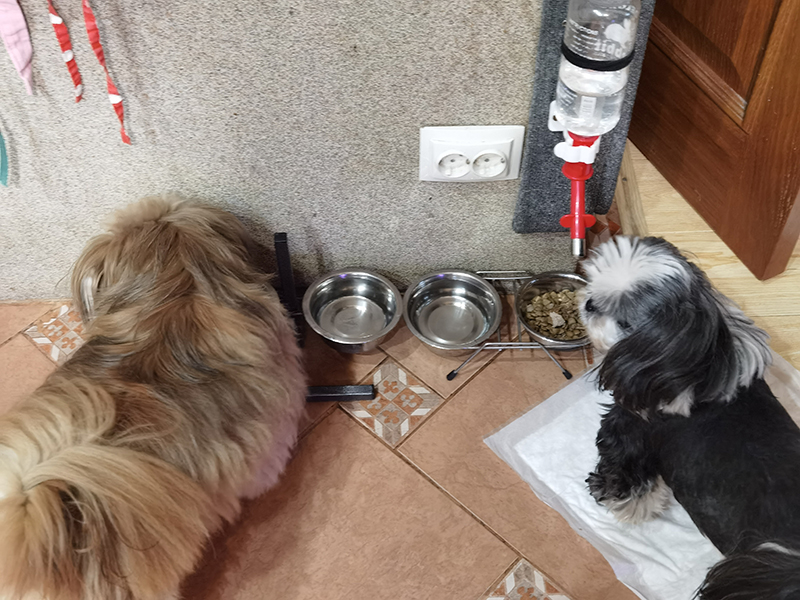 Мой день 12.02.2026 г преподаватель,Нижний Новгород,oneday,будни,46-55,Россия